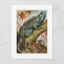 Recherche de iguane cartes postales Nature