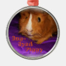 Search for bugs ornaments Animal