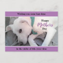 Recherche de lila cartes postales Amusant