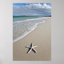 Search for remote posters Outdoors