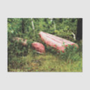 Search for camping tissue paper Woods