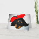 Search for dachshund valentines day cards Puppy