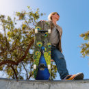 Search for peacock skateboards Nature