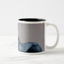 Recherche de coffre tasses Égyptien