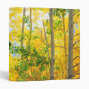 Search for aspen binders Yellow