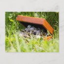 Search for jewelery postcards Box