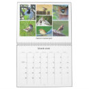 Search for bluebird calendars Nature