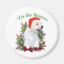 Search for tis magnets Dog