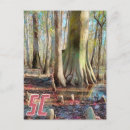 Recherche de marais photographie Arbre