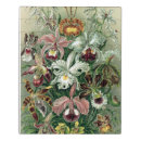 Search for orchid puzzles Floral