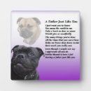 Recherche de staffordshire bull terriers Pour lui