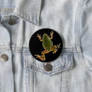 Recherche de grenouille photographie Amphibien