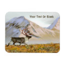Search for alaska range magnets Arctic
