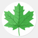 Search for maple leafs stickers Tree