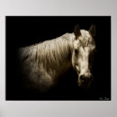 Search for white horses posters Western