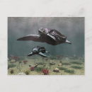 Search for leatherback turtle Animal