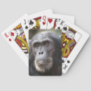 Recherche de parc national de gombe Chimpanzé