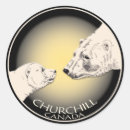 Search for churchill stickers Cub