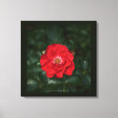 Search for red rose canvas prints Summer