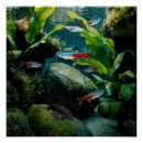 Recherche de aquarium posters Réservoir de poisson