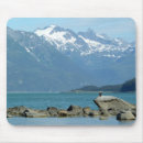 Search for alaska eagle mousepads Nature