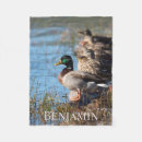 Search for photo with animals blankets Wildlife