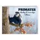Search for monkey calendars Baby