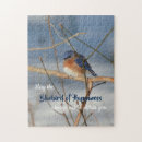 Search for bluebird puzzles Wildlife