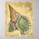 Search for seashells posters Beach
