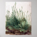 Search for turf posters Nature
