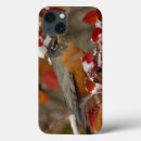 Search for winter animals ipad cases Bird