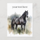 Recherche de étalon cartes postales Amoureux des chevaux