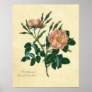 Recherche de botanique antique art Fleurs