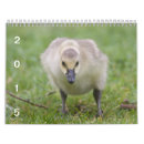 Search for goose calendars Geese