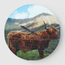 Search for scottish highland cow decor Scotland