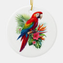 Search for macaw ornaments Nature