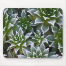 Recherche de gel tapis souris Gelé