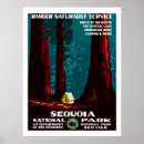 Search for vintage camping posters Forest