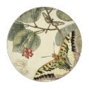 Recherche de libellules planches à découper Botanique