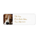 Search for beagles return address labels Pet
