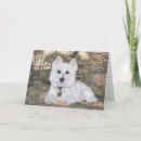 Search for westie cards Pets