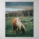 Recherche de vintage horse posters Rétro