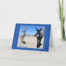 Search for veterinary school graduation cards Cute