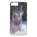 Search for grey wolf iphone cases Forest