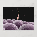 Recherche de fertilité humaine posters Spermatozoïdes