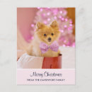 Search for dog photo postcards Puppy