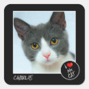 Search for love pets stickers I love my cat