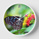 Recherche de papillons horloges Pour tous