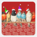 Search for colorful birds stickers Blue