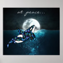 Search for orca whale posters Full moon